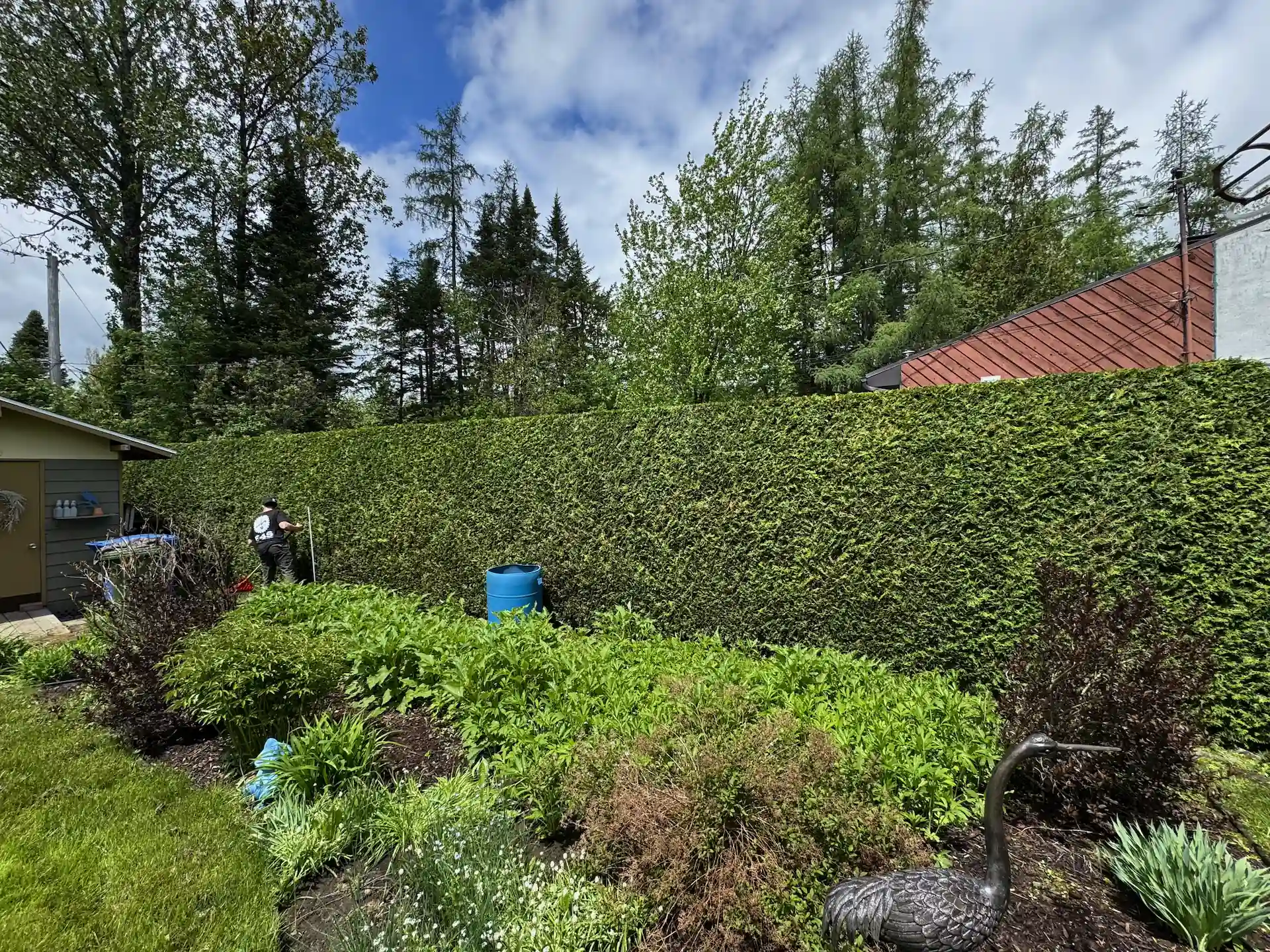 Entretien forestier professionnel